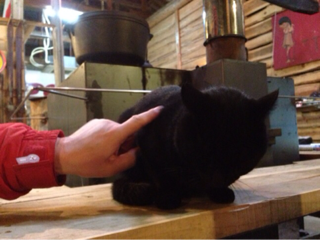 image-20140214230330.png