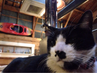 image-20140214231050.png